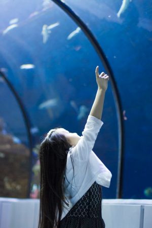 aquarium de quebec tunnel